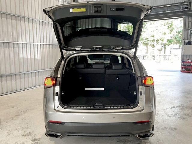 LEXUS凌志 NX300  第7張相片