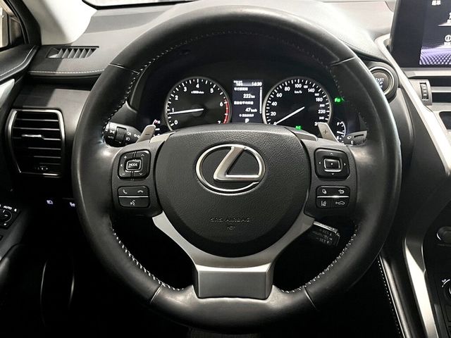 LEXUS凌志 NX300  第13張相片
