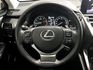 LEXUS凌志 NX300  第13張縮圖
