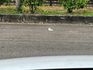 MAZDA馬自達 CX-5  第13張縮圖