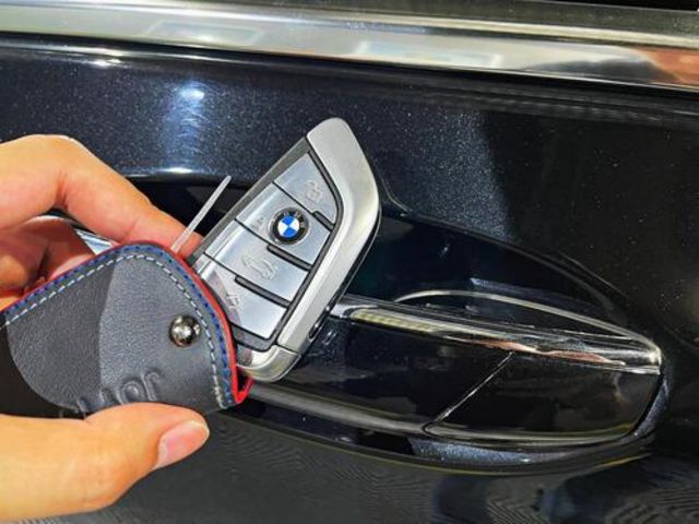 BMW寶馬 730D  第10張相片