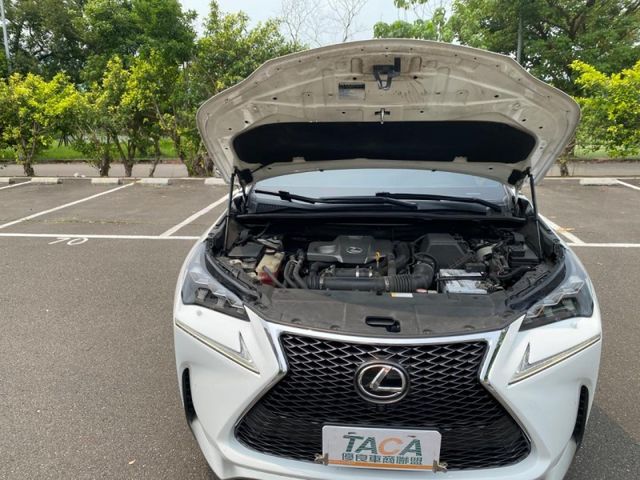 Lexus  NX  第21張相片