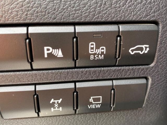 Lexus  NX  第24張相片