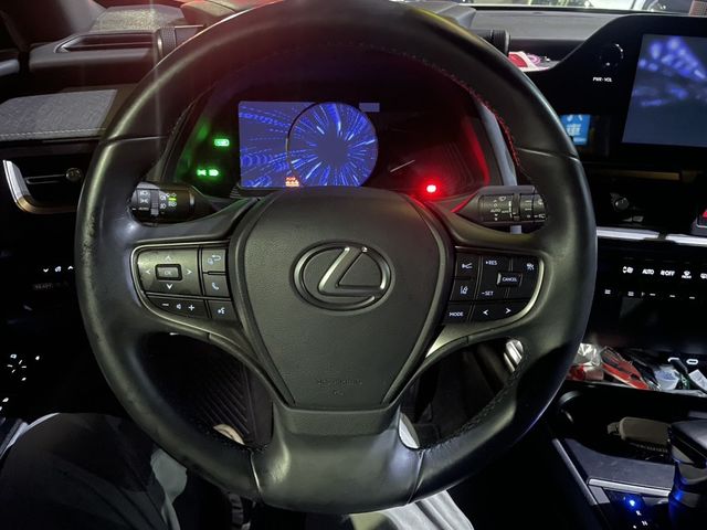 LEXUS凌志 UX250H  第4張相片