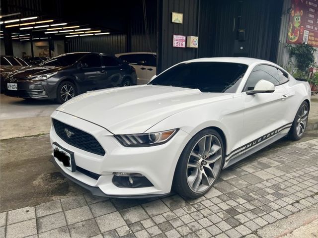 MUSTANG  第1張相片