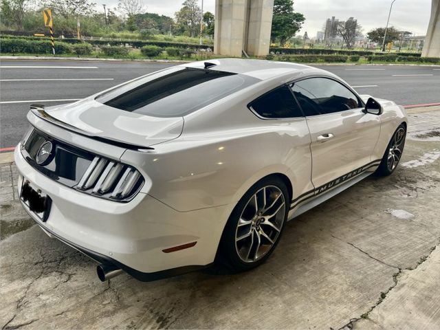 MUSTANG  第2張相片