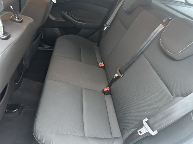 FOCUS 5D  第8張相片