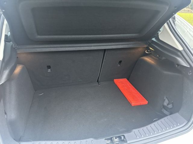 FOCUS 5D  第9張相片