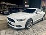 MUSTANG  第1張縮圖