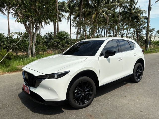 ( 原廠保顧中 ) 2.5 渦輪  跟車/車道維持/BOSE音響/環景/電動椅/電尾門/雙區恆溫  第1張相片