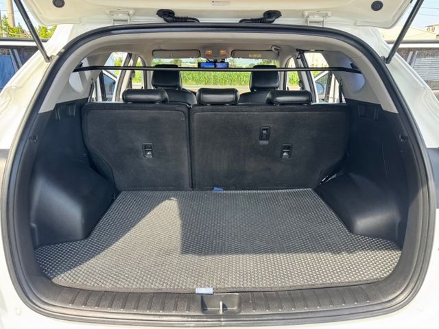 抬頭顯示器/前後錄行車記錄器/後座出風口/下坡輔助/雷達開關/模式切換  第15張相片