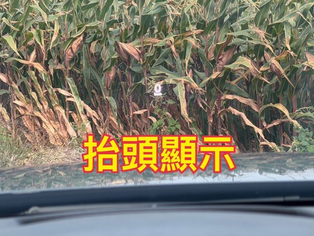 免鑰匙/定速/電動椅/環景/盲點/跟車/記憶座椅/車道置中/抬頭顯示器  第7張相片