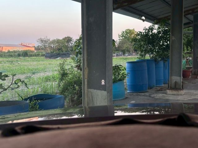 免鑰匙/定速/電動椅/環景/盲點/跟車/記憶座椅/車道置中/抬頭顯示器  第5張相片