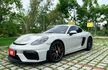 總代理 少里程  20吋鋁圈 原廠跑排  GT4大包