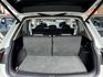 VOLKSWAGEN福斯 TIGUAN  第15張縮圖
