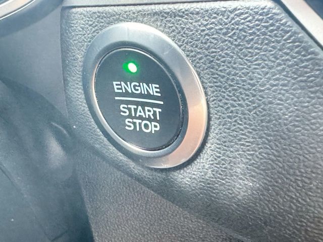 FOCUS 5D  第14張相片