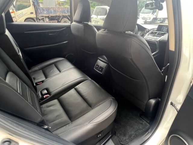LEXUS凌志 NX300H  第14張相片