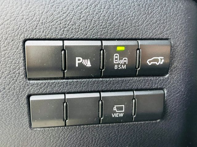 LEXUS凌志 NX300H  第11張相片