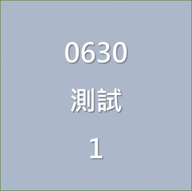 A6 AVANT  第1張相片