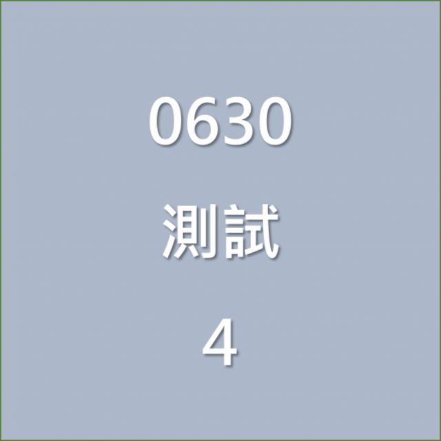 A6 AVANT  第4張相片