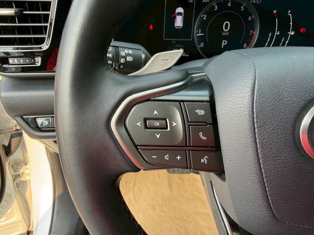 豪華版 全車原鈑件 雙熱電椅/ACC/車道置中/CARPLAY/電尾門/盲點/I-KEY/倒車顯影 (海佃店)  第10張相片