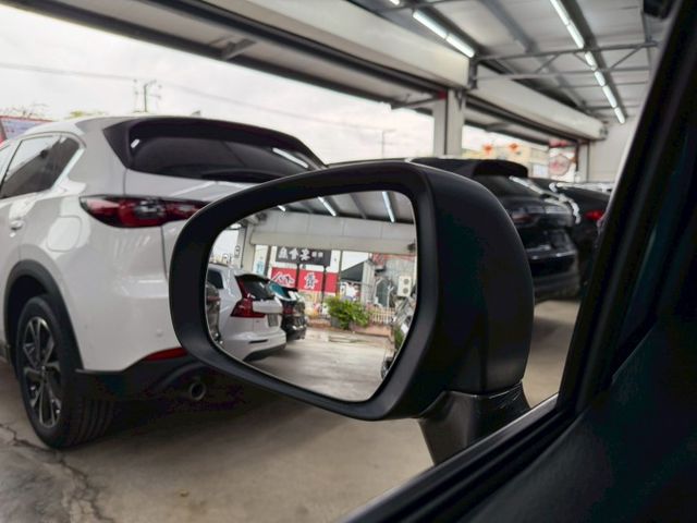 原版件 原廠保養 天窗/ACC/環景/換檔撥片/Apple CarPlay/盲點/車道偏移 (北安店)  第15張相片