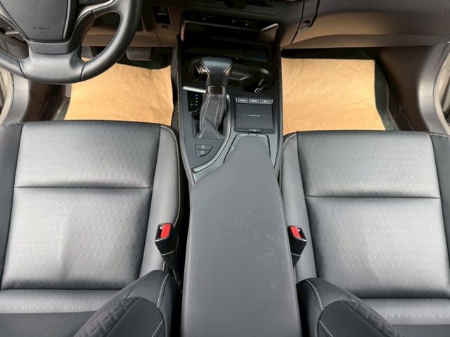 菁英Plus 原廠保養 配備~雙電動椅/倒車顯影/ACC/盲點/Apple CarPlay/車道偏移 (海佃店)  第14張相片