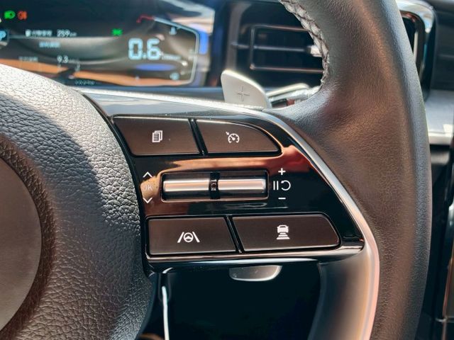 認證車 原廠保固中 A款 旗艦版 選配全景雙天窗 車美無暇 0頭款 可全貸  第13張相片