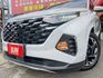 認證車 原廠保固中 A款 旗艦版 選配全景雙天窗 車美無暇 0頭款 可全貸  第20張縮圖