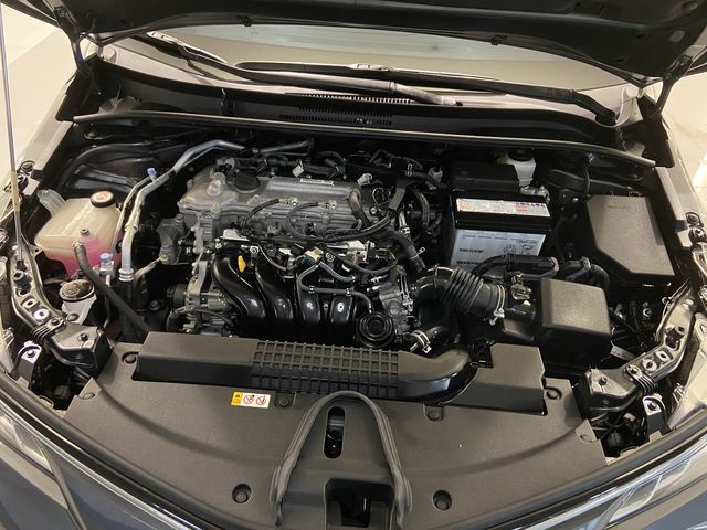 ALTIS 1.8  第10張相片