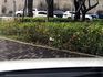 MAZDA馬自達 MAZDA 6  第18張縮圖
