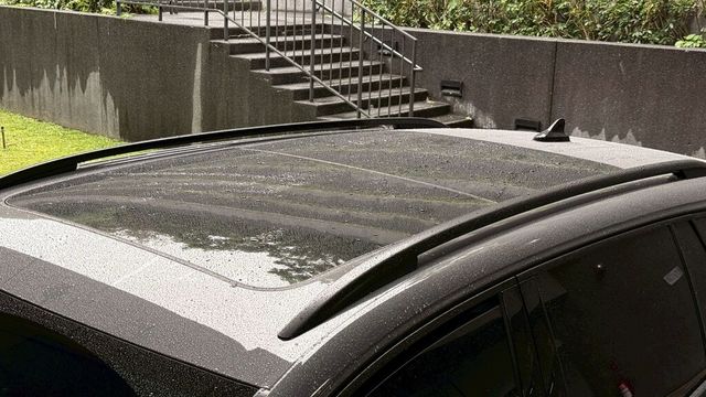 VOLKSWAGEN福斯 GOLF VARIANT  第12張相片