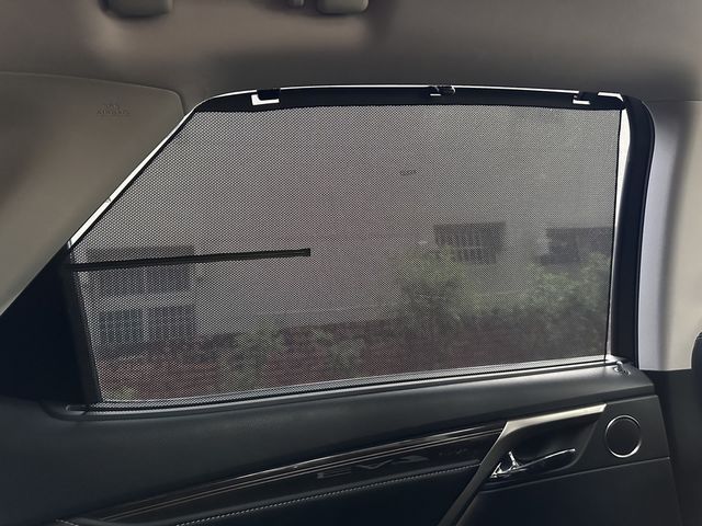 LEXUS凌志 RX300  第8張相片
