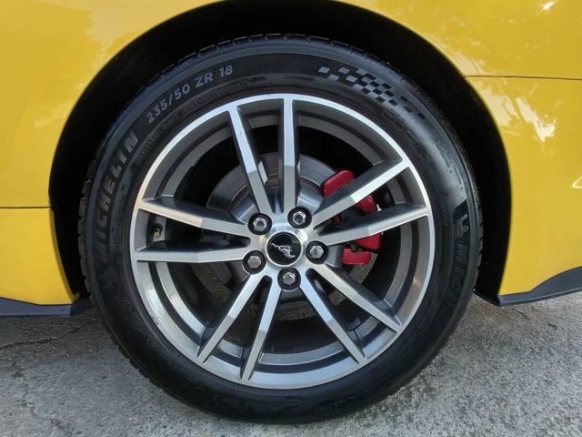 FORD福特 MUSTANG  第11張相片