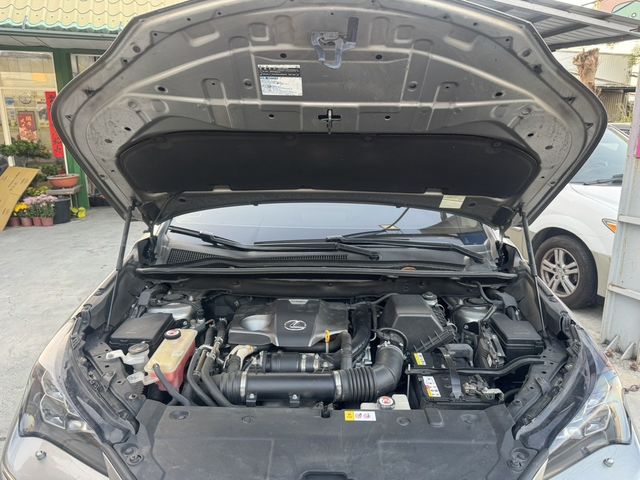 LEXUS凌志 NX300  第13張相片