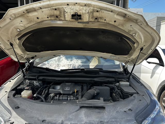 LEXUS凌志 RX200T  第13張相片