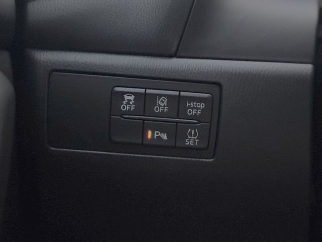 ACC跟車.盲點偵測.抬頭顯示器.電子煞車  第13張相片