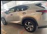 LEXUS凌志 NX300H  第5張縮圖