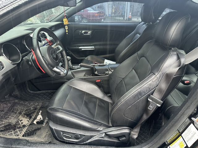 FORD福特 MUSTANG  第2張相片
