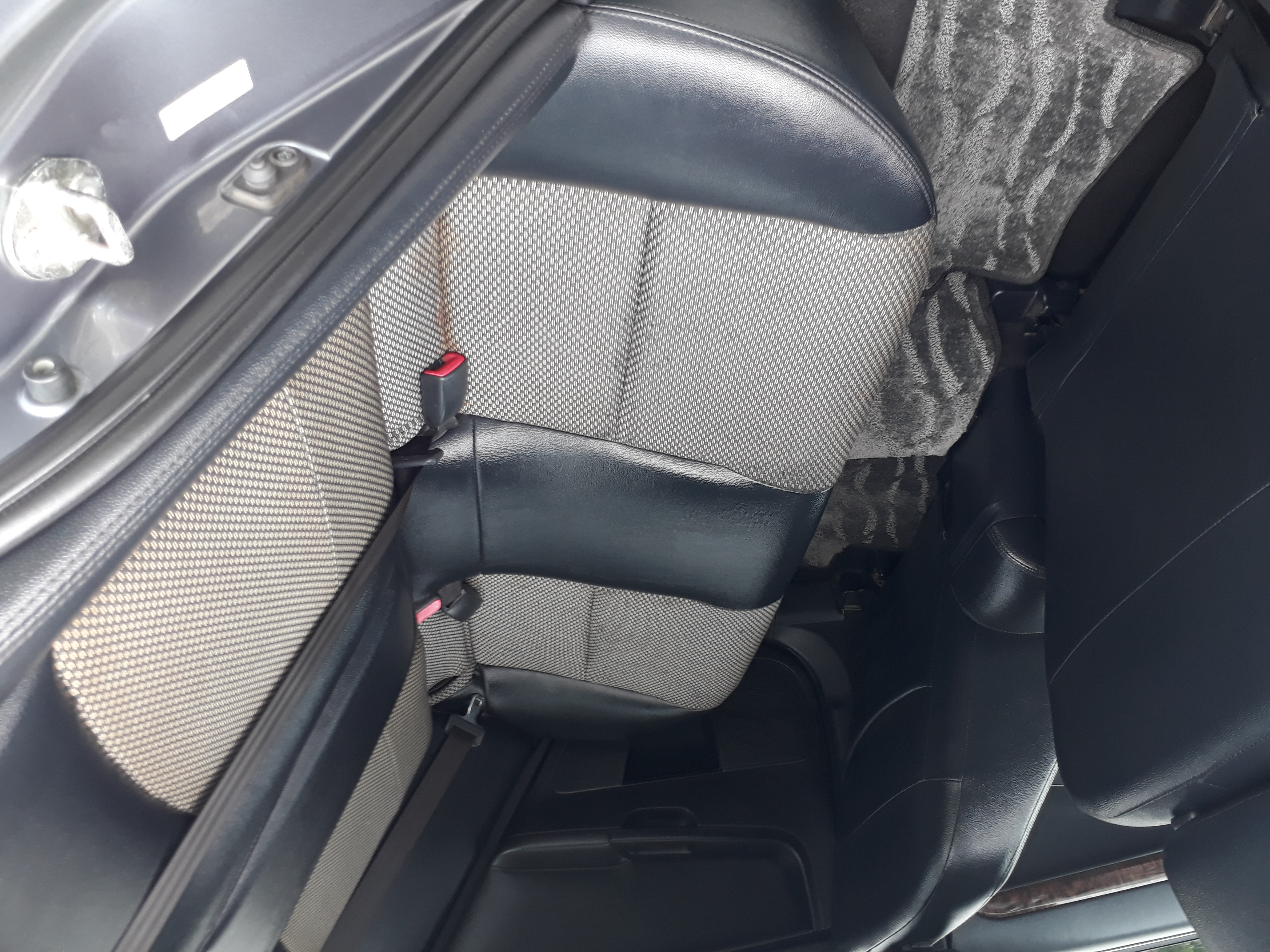 2009 fortis1.8  第2張相片