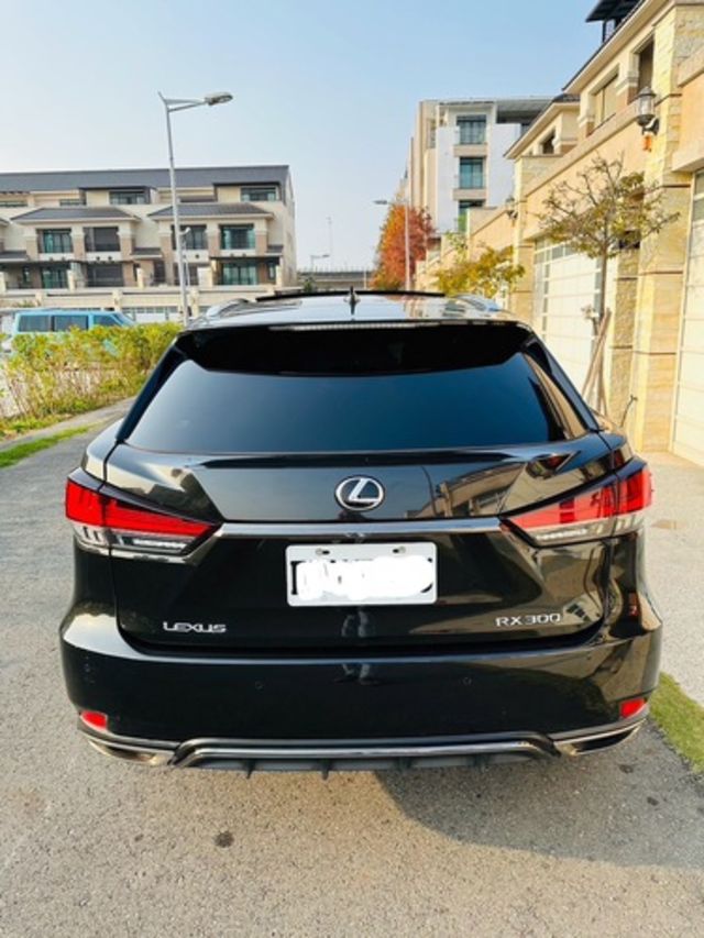 LEXUS凌志 RX300  第7張相片