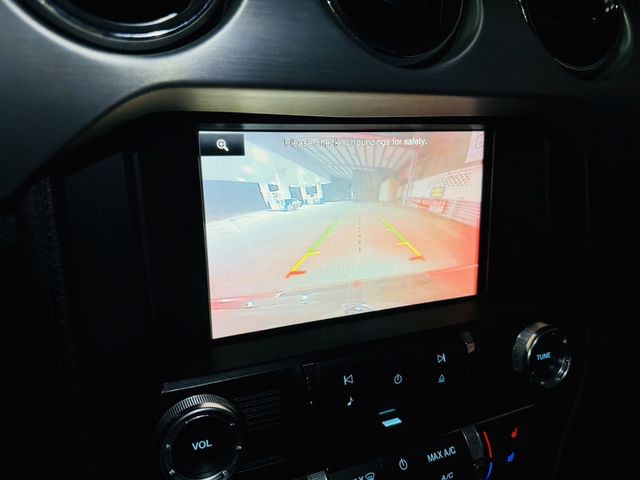 FORD福特 MUSTANG  第13張相片