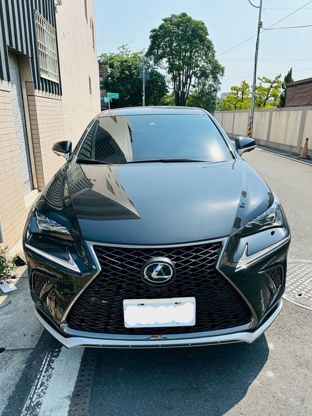 LEXUS凌志 NX300  第2張相片