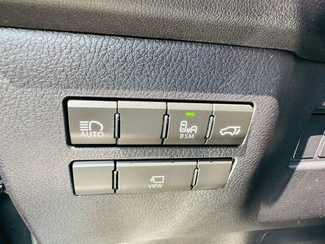 LEXUS凌志 NX300  第17張相片