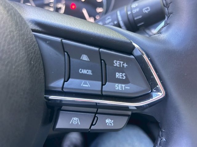 Premium版一手車/原鈑件/低里程原廠保固/原廠保養/ACC跟車/BOSE音響/360環景/免鑰匙/LED頭燈  第13張相片