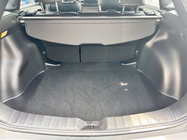 豪華版/原鈑件/低里程/i-key/ACC跟車/車道偏移輔助/倒車顯影/7安/自動遠光燈  第15張相片