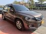 VOLKSWAGEN福斯 TIGUAN  第19張縮圖