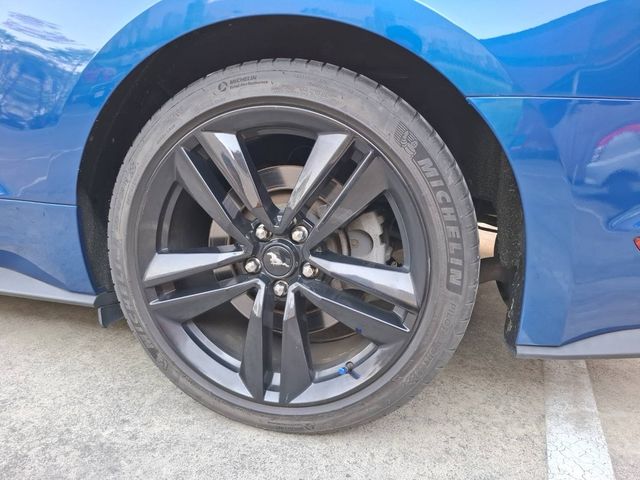 FORD福特 MUSTANG  第13張相片
