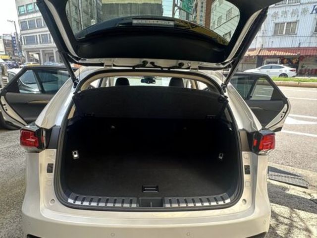 LEXUS凌志 NX300  第9張相片