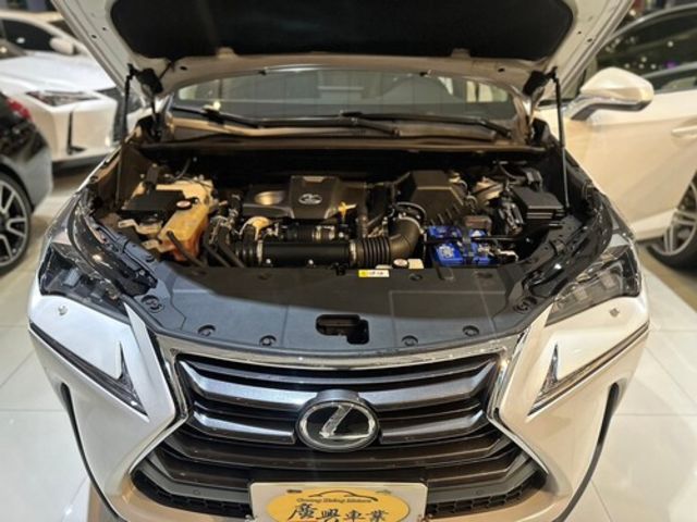 LEXUS凌志 NX200T  第6張相片
